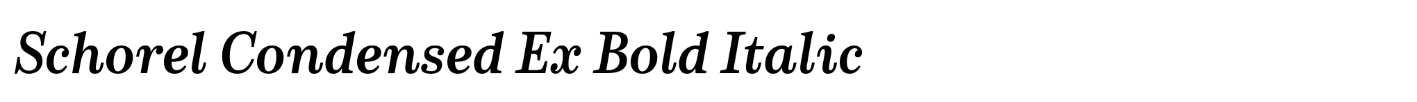 Schorel Condensed Ex Bold Italic image